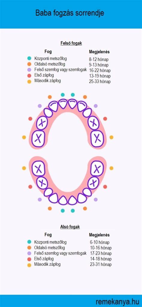 Fogzás fájdalomcsillapítás