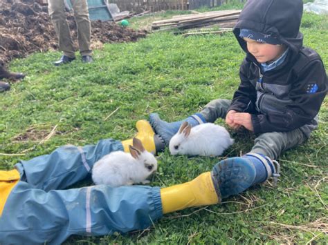 Gyerekek simogatnak állatokat egy farmon