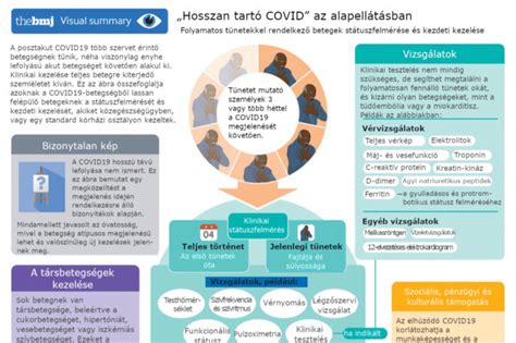 Infografika az arcüreggyulladás tüneteiről és kezelési lehetőségeiről