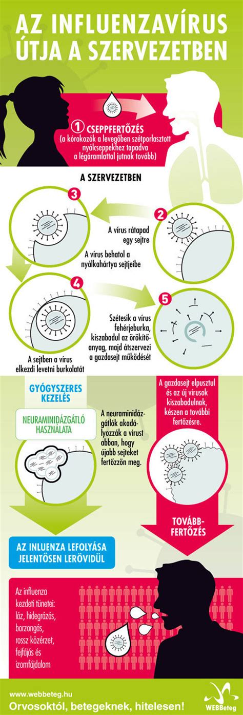 Infografika az influenza oltás fontosságáról és kockázatairól