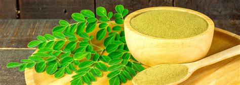 Moringa levél és termése