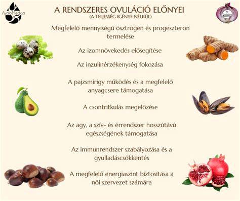 Méhnyaknyák változása az ovuláció során