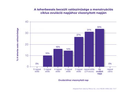 A termékenységi ablak és az ovuláció összefüggése