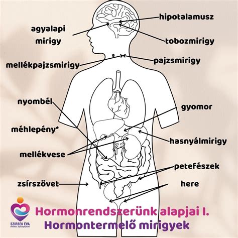 hormonok szerepe a szoptatásban