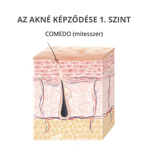 A bőr hidrolipid rétegének illusztrációja