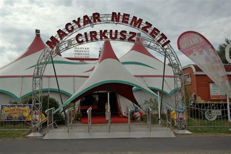 kép egy cirkusz porondmesteréről
