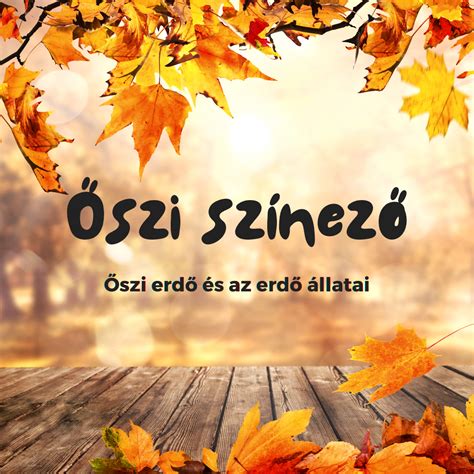 Őszi erdő haiku illusztrációval
