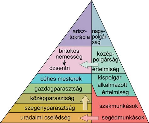 A méhnyálkahártya rétegei és ciklikus változásai
