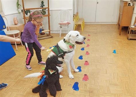 Terápiás kutya és gyermek interakciója