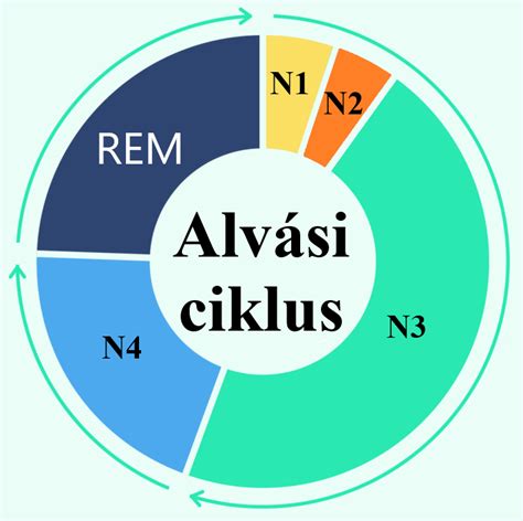 Az alvás-ébrenlét ciklus diagramja