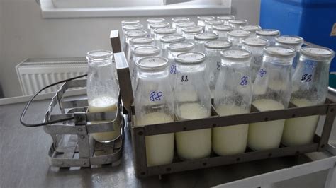 Anyatejgyűjtés higiéniai szabályai