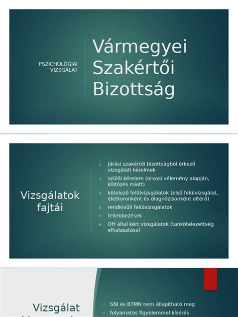 Szakértői vizsgálat folyamata