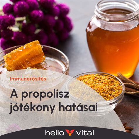 Méhek propoliszt gyűjtenek a kaptárban