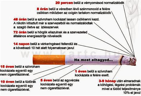 Dohányzás káros hatásai a magzatra infografika
