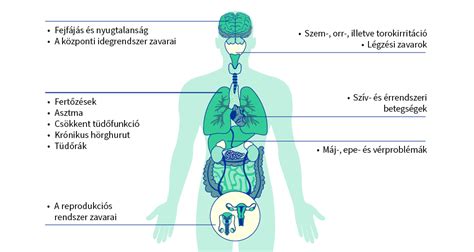 A rovarirtók hatása az emberi egészségre