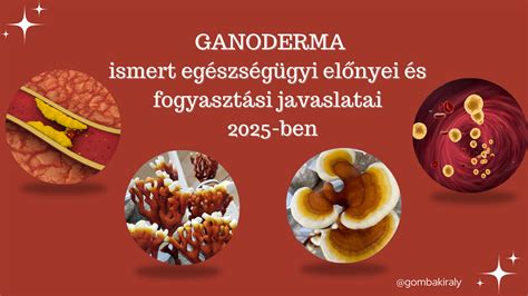 Különböző fehérvérsejtek