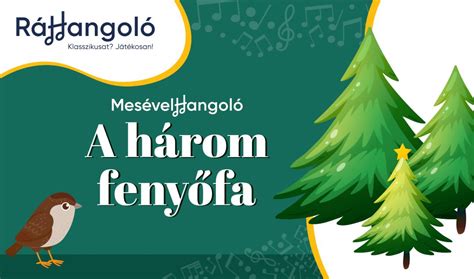 Fenyőfa szerkezete és a páratartalom