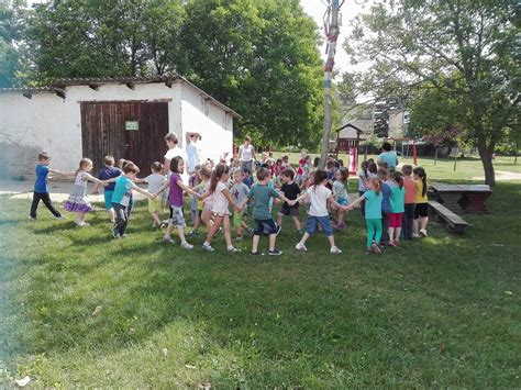 A Tamási Aranyerdő Óvoda és Bölcsőde épülete és udvara