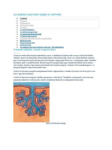 Az újszülött súly szerinti csoportosítása