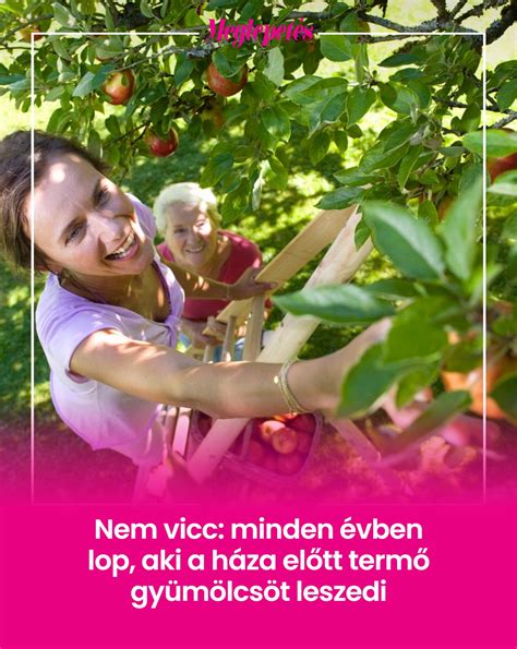 Gyermek, aki elutasítja a gyümölcsöt