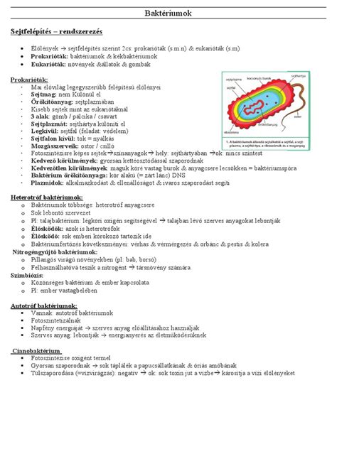 Metán-oxidáló baktériumok a tavakban
