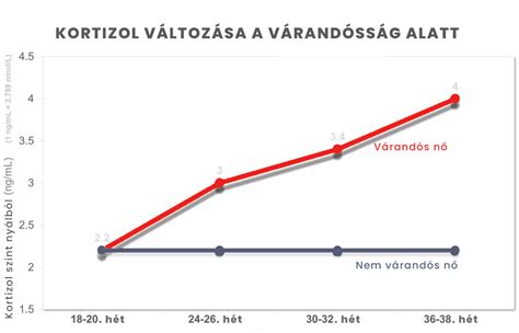 Infografika a stresszhormonok, például a kortizol szintjének emelkedéséről a terhesség alatt