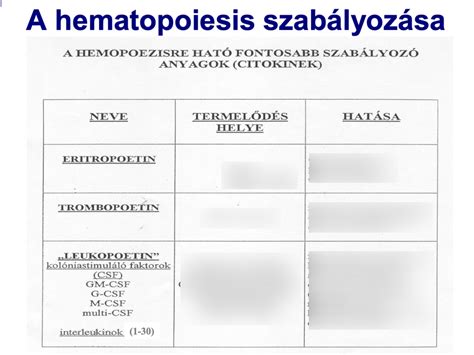 A vér összetételét bemutató diagram