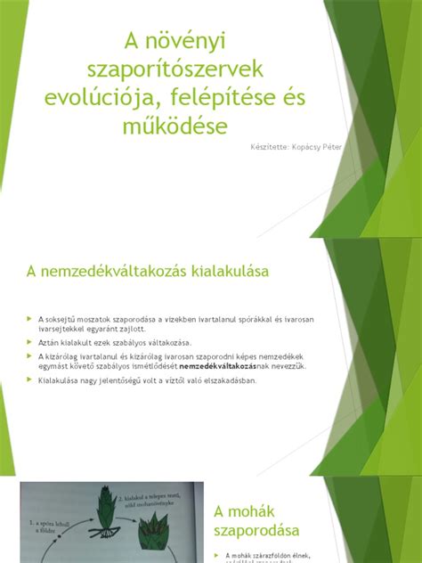 A növényi szaporodás evolúciója