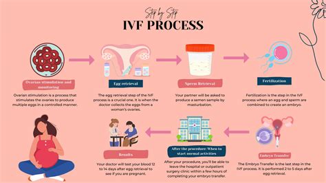 Az IVF folyamatának lépései