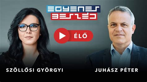 Juhász Péter politikai aktivistaként