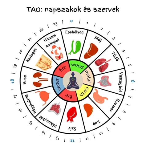 Napszakok és a terhességi rosszullét gyakorisága
