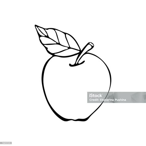 Alma és édesgyökér illusztráció