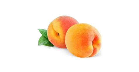 Sárgabarack és körömvirág illusztráció