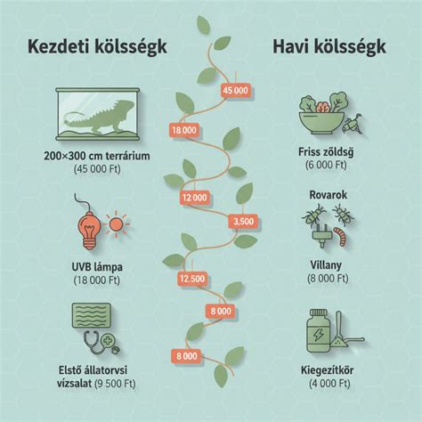 Koffeinforrások és mennyiségük infografika