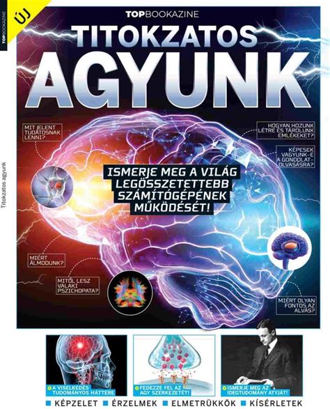 Agyunk felépítése