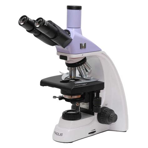 Laboratóriumi mikroszkóp és táptalaj