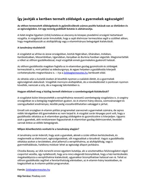 Gyermekek kincses térképet tanulmányoznak a kertben
