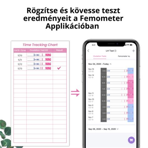 Nő naptárral és ovulációs teszttel