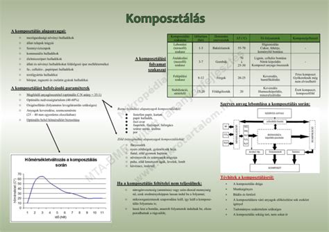 A szülési folyamat szakaszai infografika