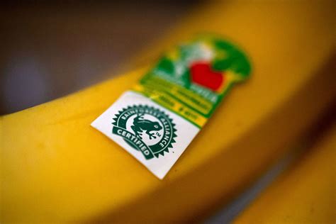 Példa allergénjelölésre élelmiszereken