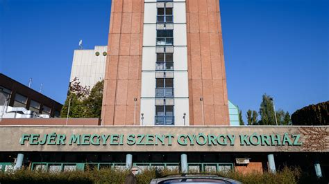 Bálint György egyetemi évei alatt