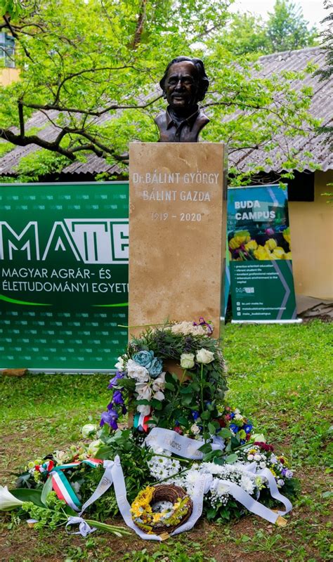 Bálint György szobra a MATE Budai Arborétumában