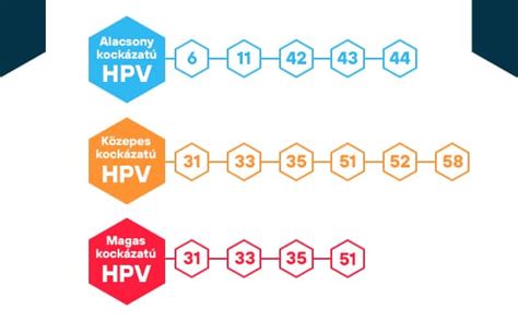 A HPV vírus szerkezete és típusai