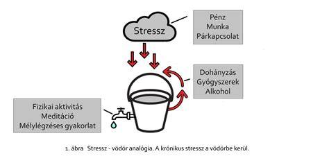 A stressz hatása a magzatra