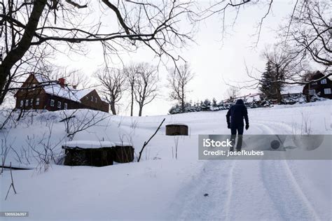 téli séta babakocsival havas parkban
