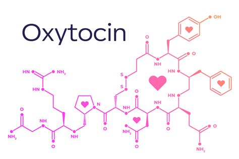 Oxitocin molekulaszerkezete