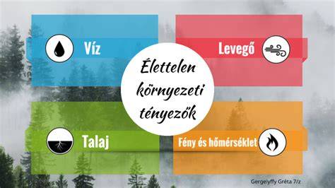 Túlérzékenységet okozó környezeti tényezők