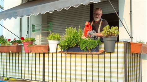 Növények, amelyek távol tartják a szúnyogokat