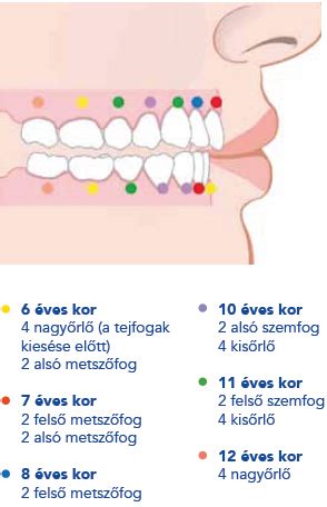 Gyermek fogmosási tippek