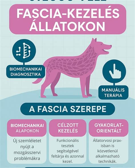 Gyermekbőr problémák felismerése